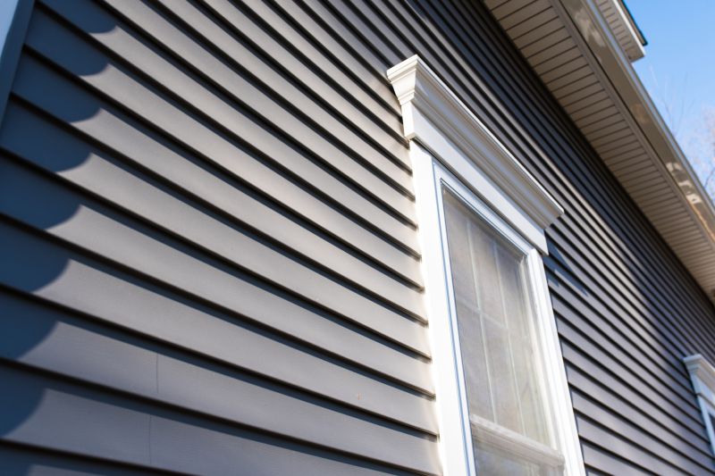 Colorful Vinyl Siding Options